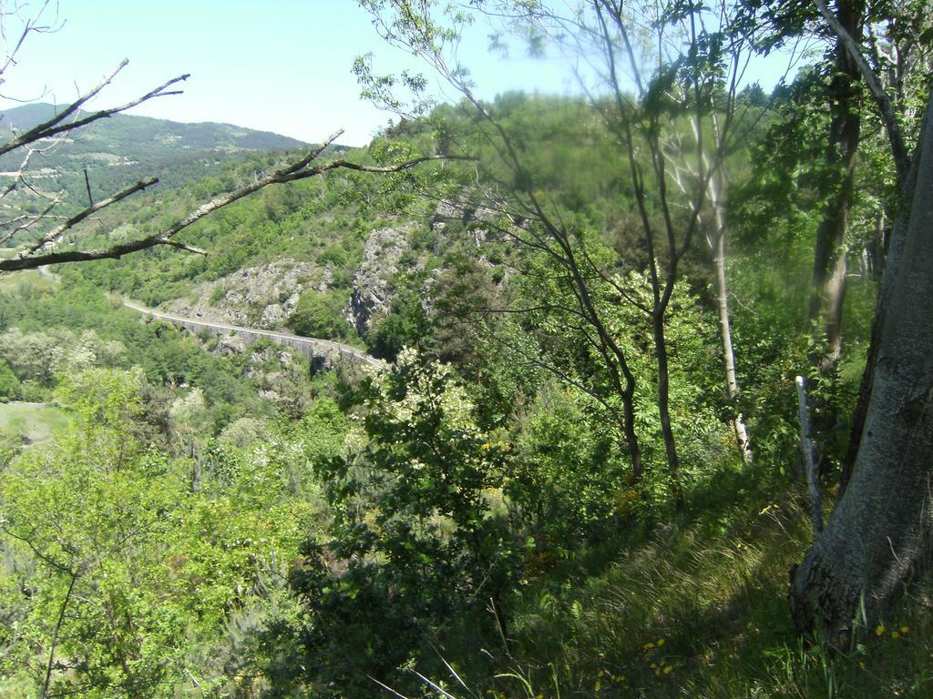 Les Roches Ξενοδοχείο Le Crestet Εξωτερικό φωτογραφία